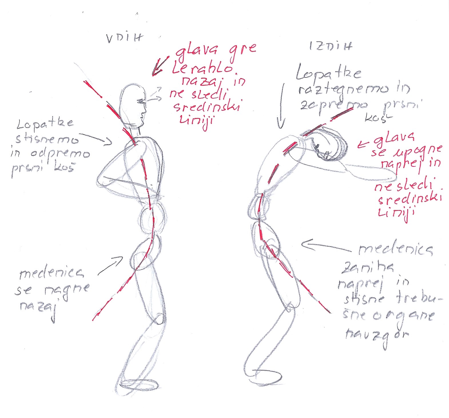 sinhrono dihanje Prikaz gibanja telesa pri sinhronem dihanju